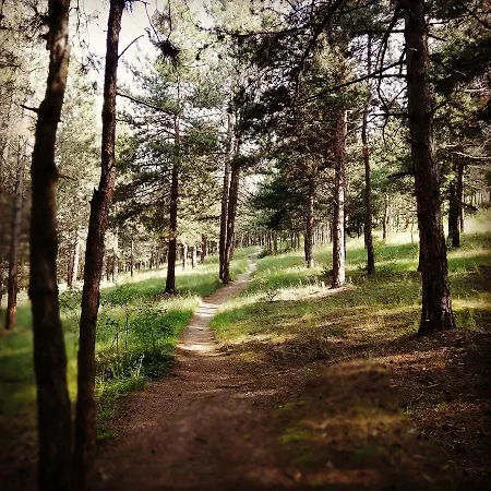 17 Velingrad